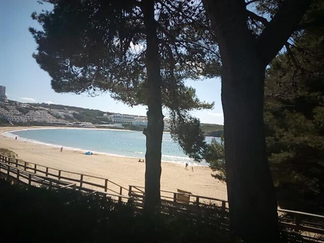 Castellsol Arenal Home Beach بونتا غروسا الغرفة الصورة